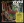 Living Colour - Vivid