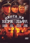    DVDRip