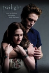 Twilight (Audio book)