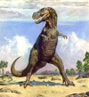 :   ? / T. Rex  Warrior or Wimp?