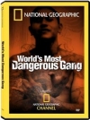 MS 13 -      / Worlds Most Dangerous Gang