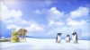����� �� �������� ������? / Do Penguins Fly?
