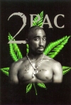 2pac live