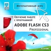  . Adobe Flash CS3 Professional