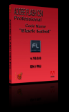 Adobe Flash Professional CS4 Black Label