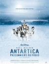   / Eight Below ( : Antarctica)