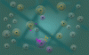 Phage Wars