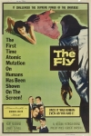  / The Fly