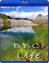 BBC:  / BBC: Life