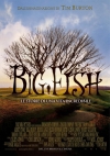   / Big Fish