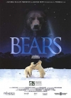  / Bears