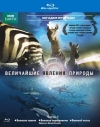 BBC:    /    / Natures Great Events (1 )