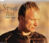 Sting - Desert Rose