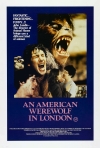 ������������ ��������� � ������� / An American Werewolf in London