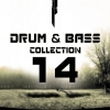 VA - Drum and Bass Collection 14 (2010) MP3