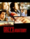 �������� ������� / Greys Anatomy (1 �����)