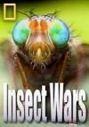 NG -   /   / Insect wars