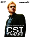 C.S.I.:  / CSI: Miami (6 )