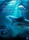      / Dolphins In The Deep Blue Ocean
