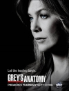   / Greys Anatomy (7 )