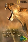 NG - - / Lions Behaving Badly