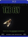  / Fly, The