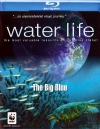   / Water Life