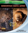 Discovery -    / Africas Super Seven