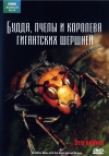 BBC:  . ,      / The Natural World. Buddha Bees and the Giant Hornet Queen