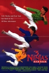 ��� ������ / 3 Ninjas