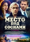    / The Place Beyond the Pines