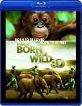    3D/ Born to Be Wild 3D