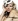   / Sienna Miller