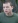  .  / Kevin Rankin