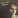   / Robie Nevil