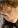   / Alex Kingston