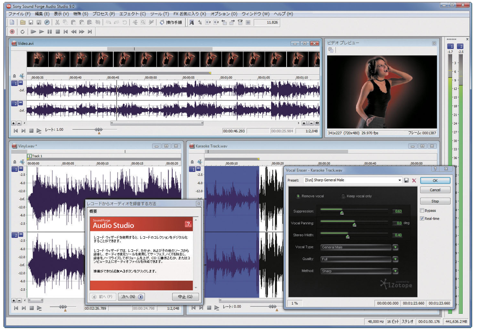 Sony Sound Forge Audio Studio 10.0 Build 152 Portable (Error file format: .jpg)