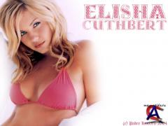 Elisha Cuthbert