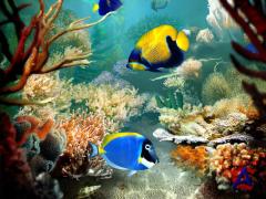   ( ) 3D Screensaver