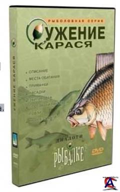    ( )
