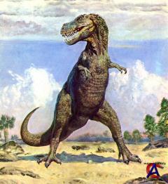 :   ? / T. Rex  Warrior or Wimp?