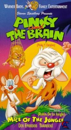    / Pinky and the Brain 3 