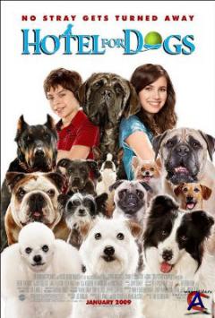    / Hotel for Dogs