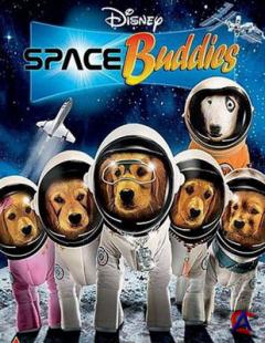   / Space Buddies