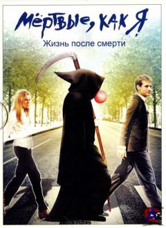 ̸  :    / Dead like me: life after death