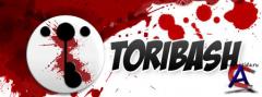 Toribash
