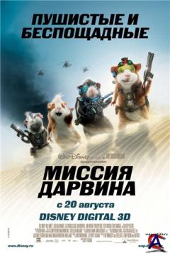   / G-Force