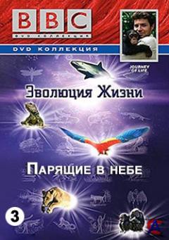 BBC:  .    ( 3) / BBC: Journey Of Life