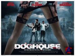  / Doghouse