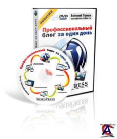 Wordpress -     